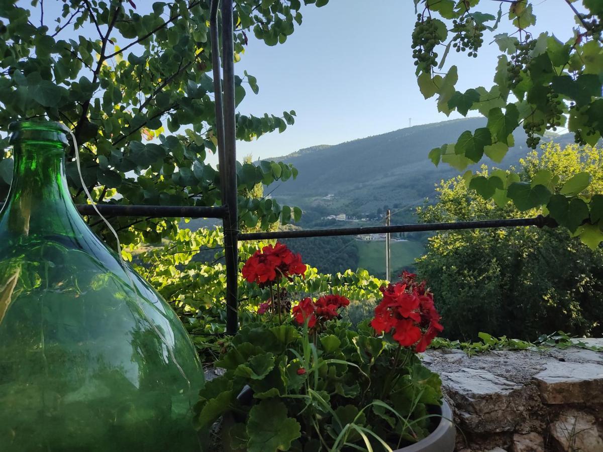 Guesthouse Runcini Ferentillo Zewnętrze zdjęcie