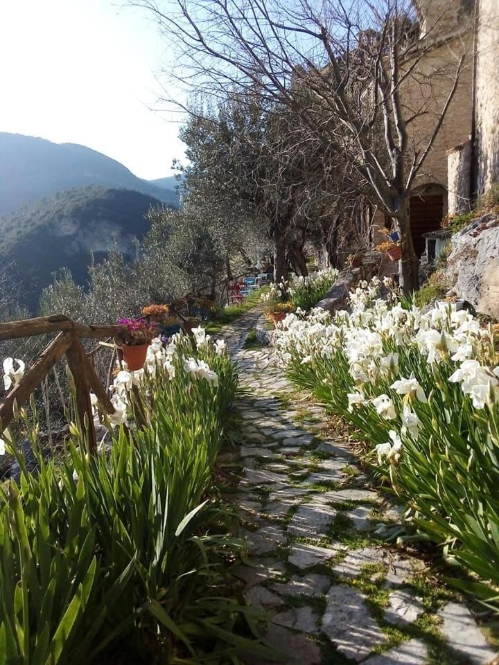 Guesthouse Runcini Ferentillo Zewnętrze zdjęcie